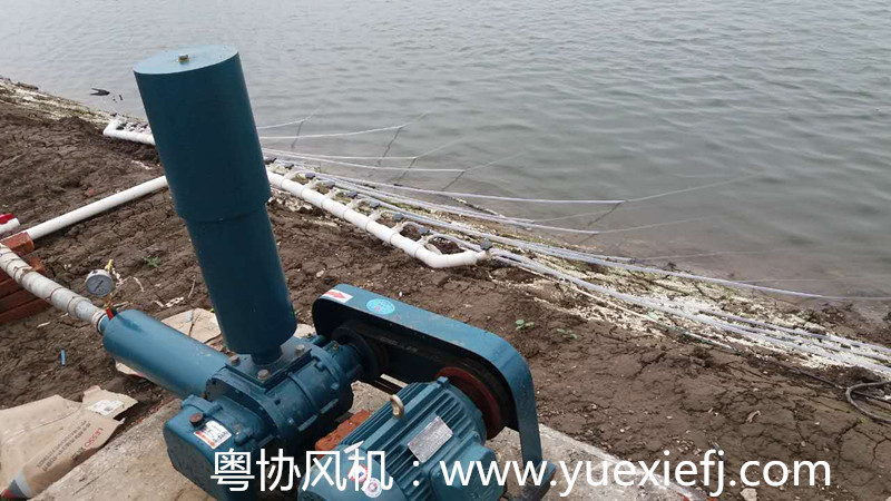 水產(chǎn)增氧羅茨風(fēng)機 水產(chǎn)增氧羅茨風(fēng)機