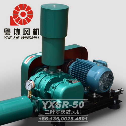 湛江羅茨風機 湛江羅茨風機