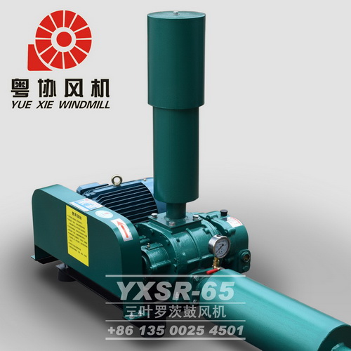 順德羅茨風機 順德羅茨風機