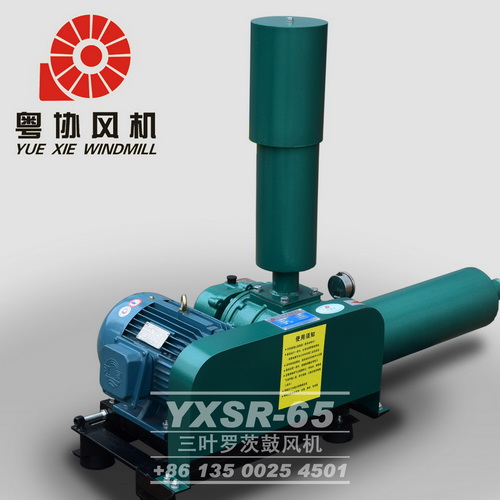 羅茨真空泵 羅茨真空泵