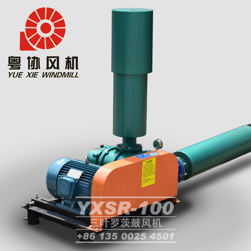 羅茨曝氣風(fēng)機 羅茨曝氣風(fēng)機