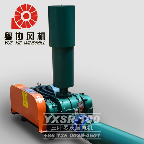 羅茨真空泵 羅茨真空泵