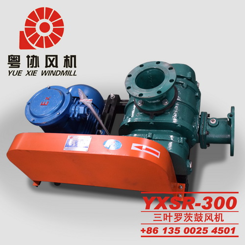 佛山三葉羅茨真空泵 佛山三葉羅茨真空泵