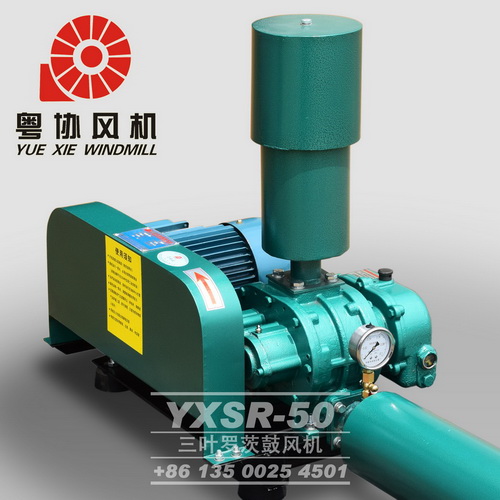 廣東三葉羅茨風機廠家 廣東三葉羅茨風機廠家